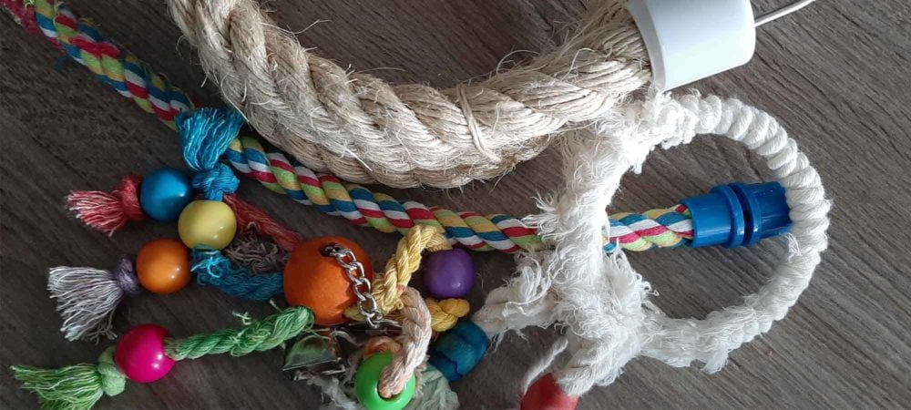 Rope toys and perches